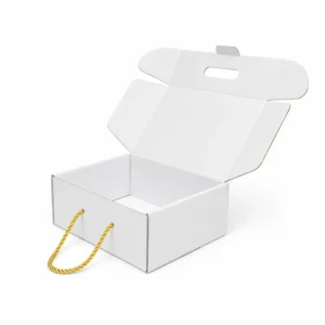 Hộp Carton Sóng Nắp Gài Có Quai Xách