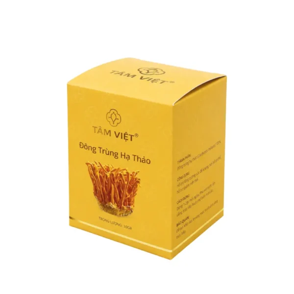 Hộp Giấy Ivory Nắp Gài Đựng Đông Trùng Hạ Thảo