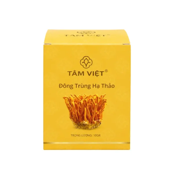 Hộp Giấy Ivory Nắp Gài Đựng Đông Trùng Hạ Thảo