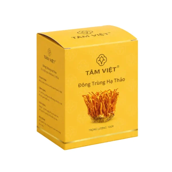 Hộp Giấy Ivory Nắp Gài Đựng Đông Trùng Hạ Thảo