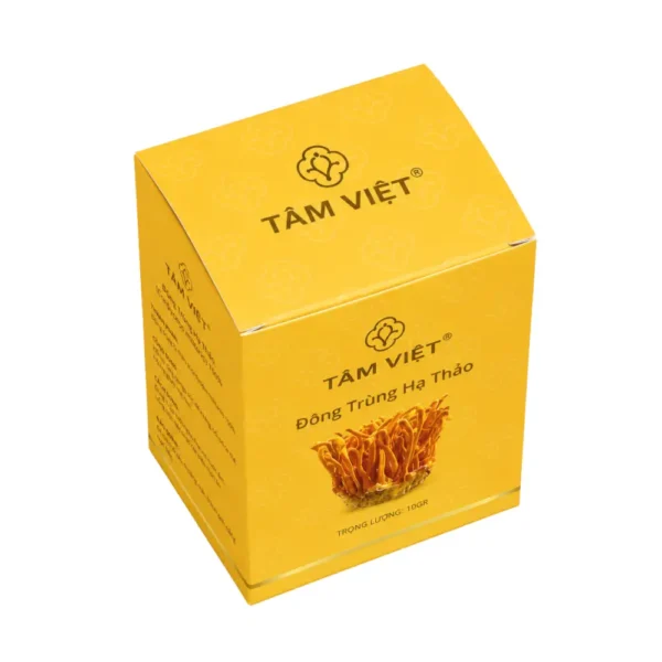 Hộp Giấy Ivory Nắp Gài Đựng Đông Trùng Hạ Thảo