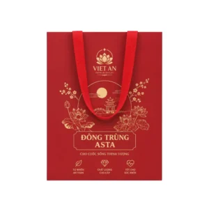 Túi Giấy Có Quai Vải
