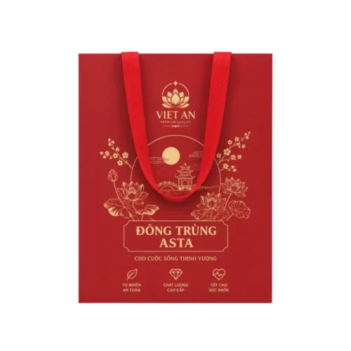 Túi Giấy Có Quai Vải