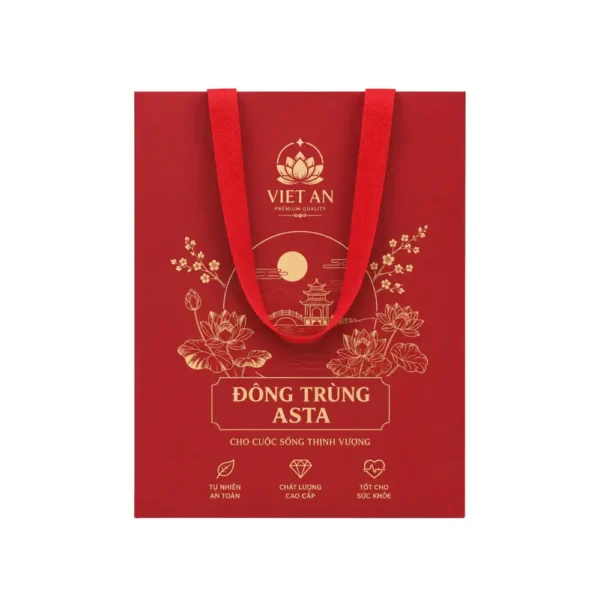 Túi Giấy Có Quai Vải