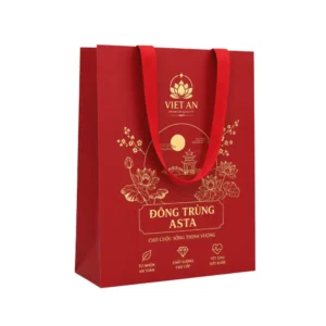 Túi Giấy Có Quai Vải