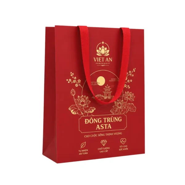 Túi Giấy Có Quai Vải