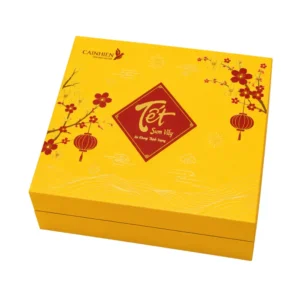 Hộp Cứng Cao Cấp Nam Châm Quà Tết HNC200