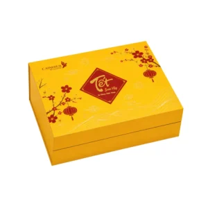 Hộp Cứng Cao Cấp Nam Châm Quà Tết HNC200