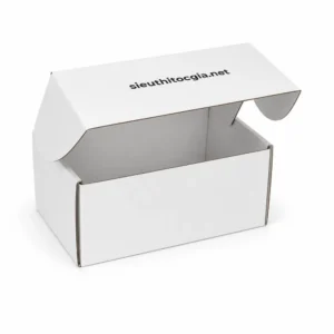 Hộp Carton Sóng Nắp Gài Đựng Tóc Giả