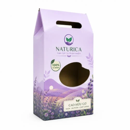 Hộp Carton Sóng Khóa Đáy Có Quai Xách