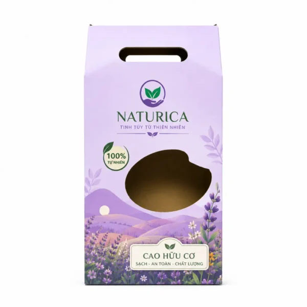 Hộp Carton Sóng Khóa Đáy Có Quai Xách