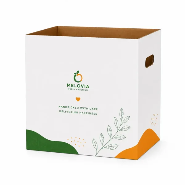 Hộp Carton Sóng Khóa Đáy Đựng Trái Cây