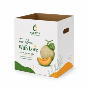Hộp Carton Sóng Khóa Đáy Đựng Trái Cây