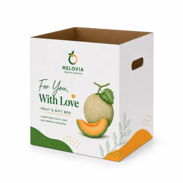 Hộp Carton Sóng Khóa Đáy Đựng Trái Cây