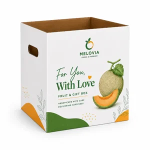 Hộp Carton Sóng Khóa Đáy Đựng Trái Cây