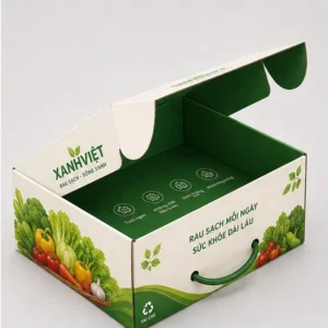 Hộp Carton Nắp Gài Có Quai Đựng Rau Củ Quả