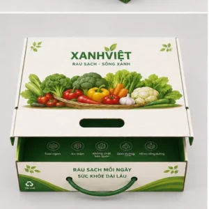 Hộp Carton Nắp Gài Có Quai Đựng Rau Củ Quả