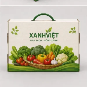 Hộp Carton Nắp Gài Có Quai Đựng Rau Củ Quả