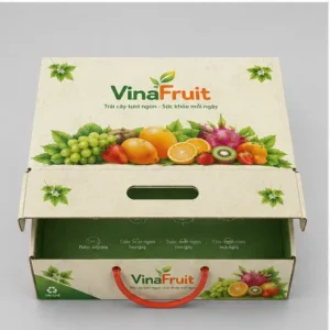 Hộp Carton Nắp Gài Có Quai Đựng Trái Cây